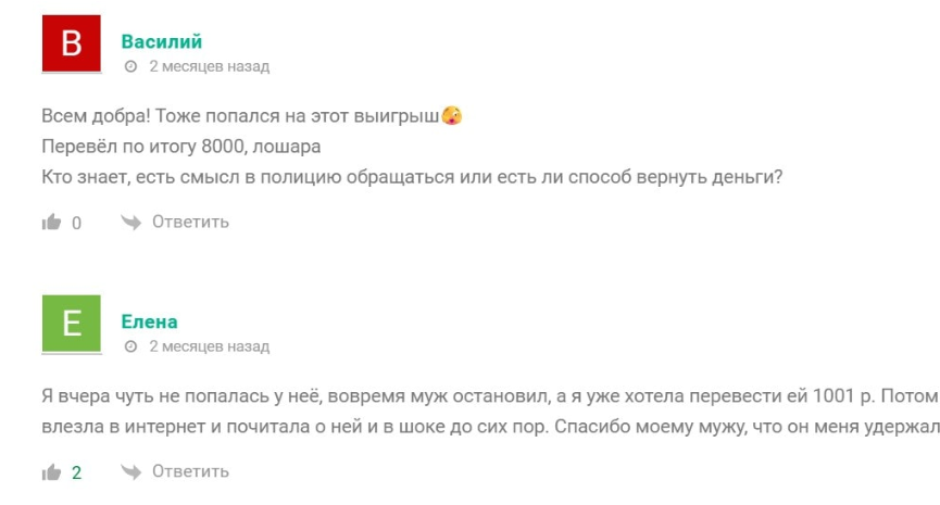 декларации через телеграм polinadar1t