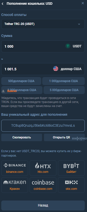 dinkiteh com отзывы о компании