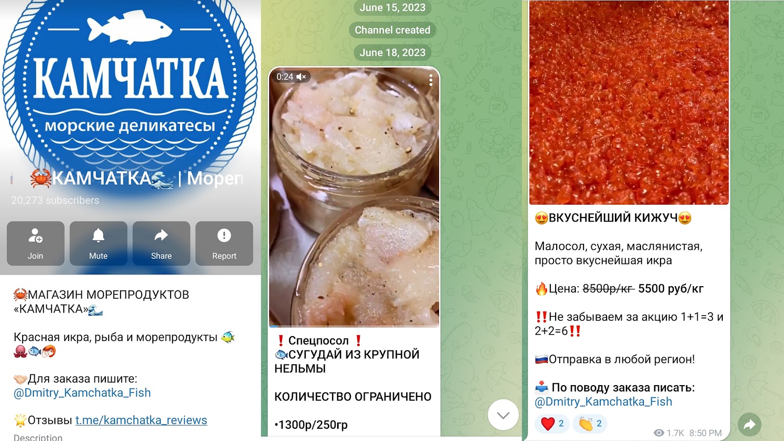 dmitry kamchatka fish отзывы