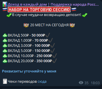 Доход в каждый дом Поддержка народа России