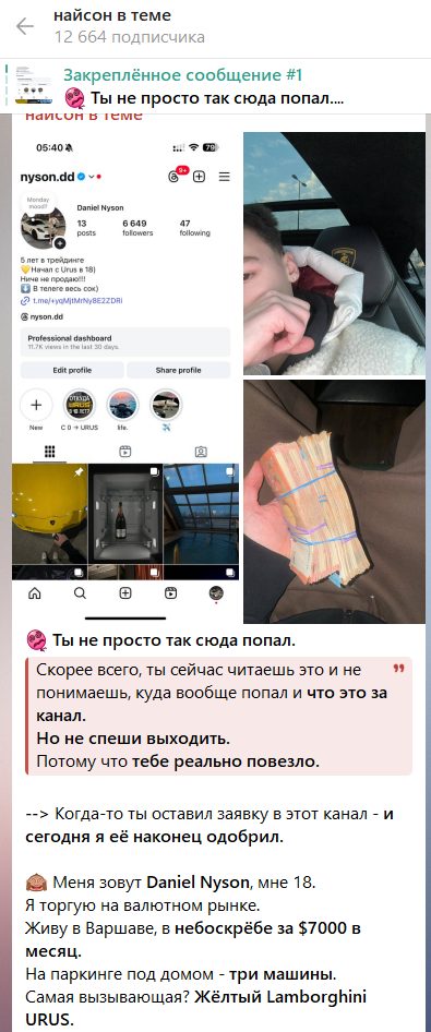 телеграмм канал найсон в теме отзывы