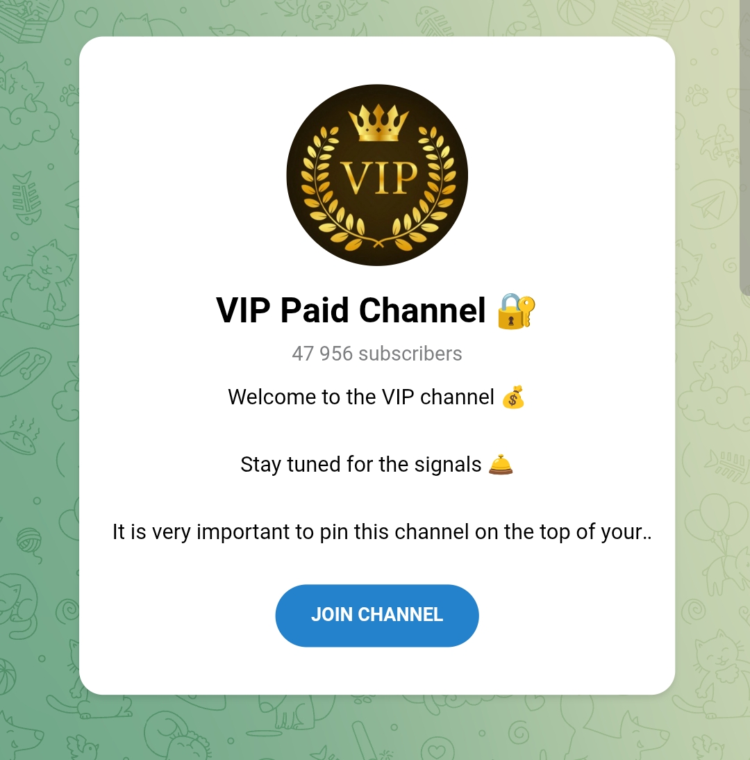 телеграмм-канала VIP Paid Channel отзывы