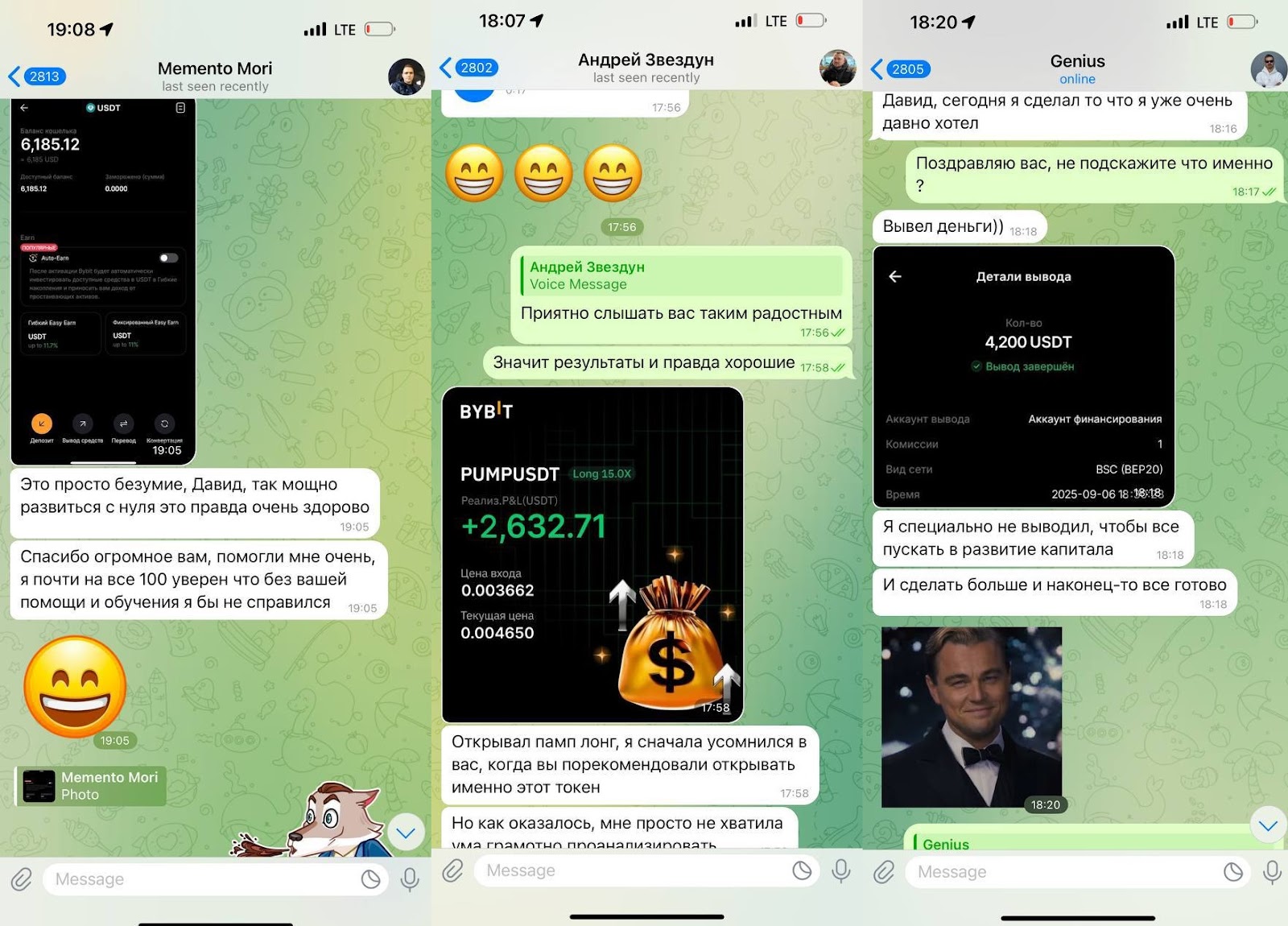 вектор рынка тг канал