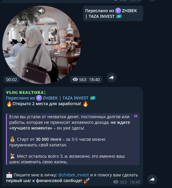 zhibek invest