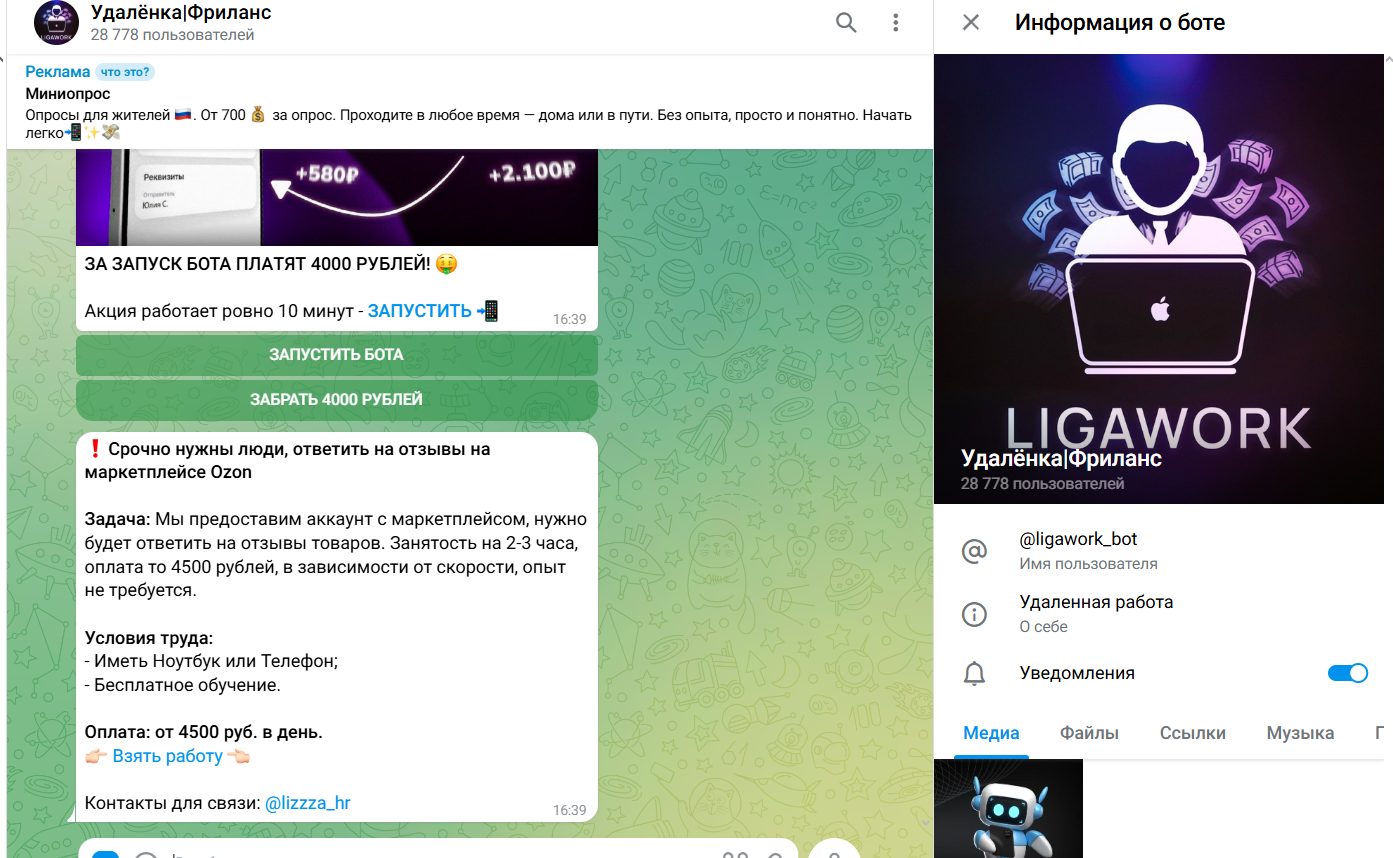 зона фриланса телеграмм канал