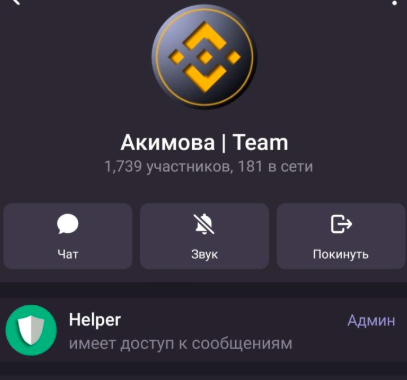 Акимова Team