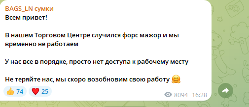bags ln сумки телеграмм отзывы