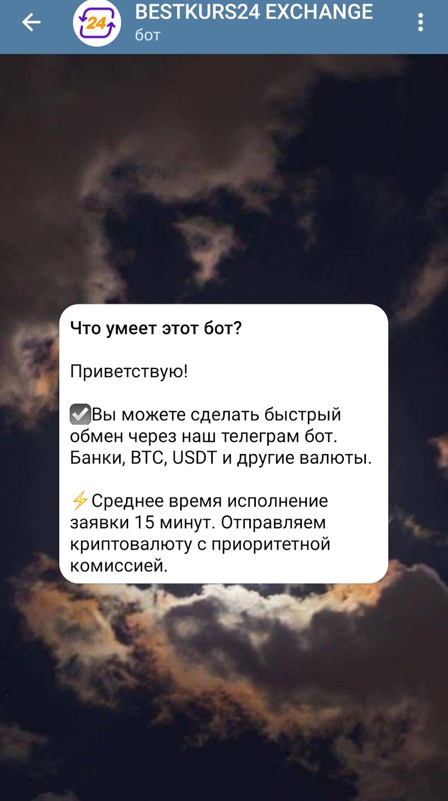 бесткурс 24