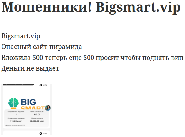 Bigsmart