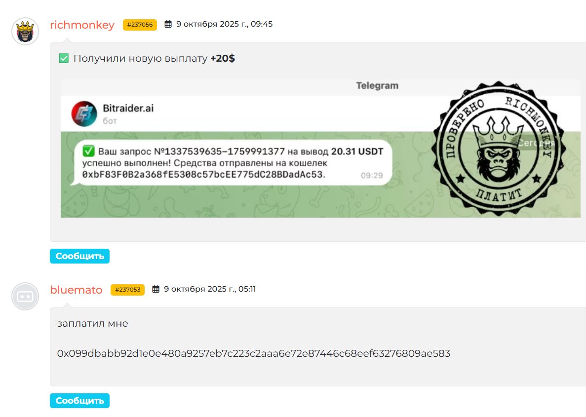 bitraider ai отзывы