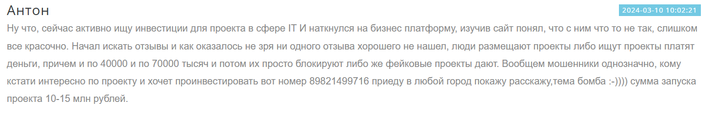 бизнес платформа инвестиции