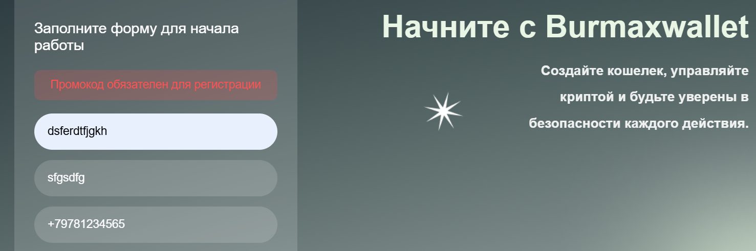 burmaxwallet burmaxwallet