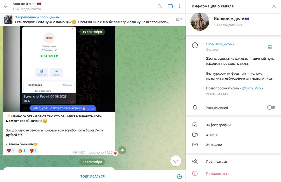 dima vvolk отзывы