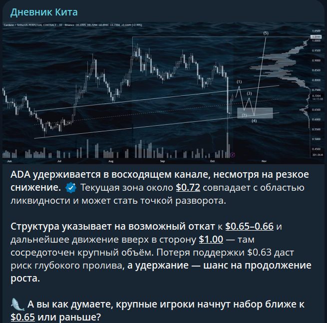 дневник кита тг канал