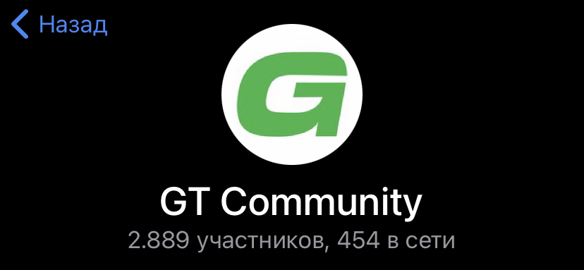 gt pool io отзывы