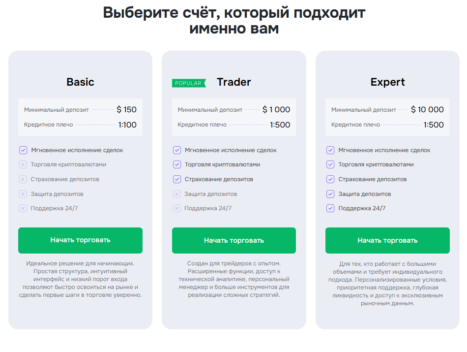 компания torqumin инвестиции