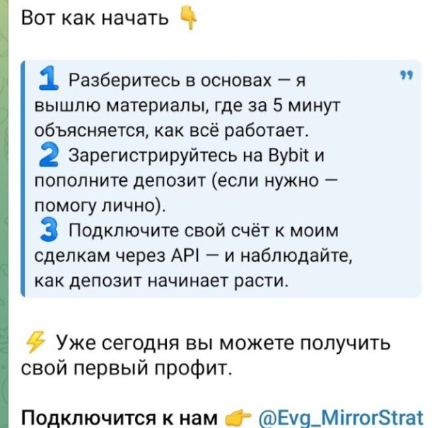 Mirrortrd bot