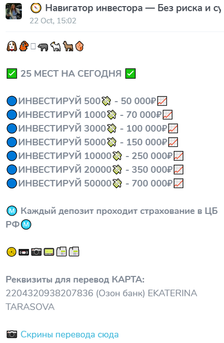 Навигатор инвестора екатерина