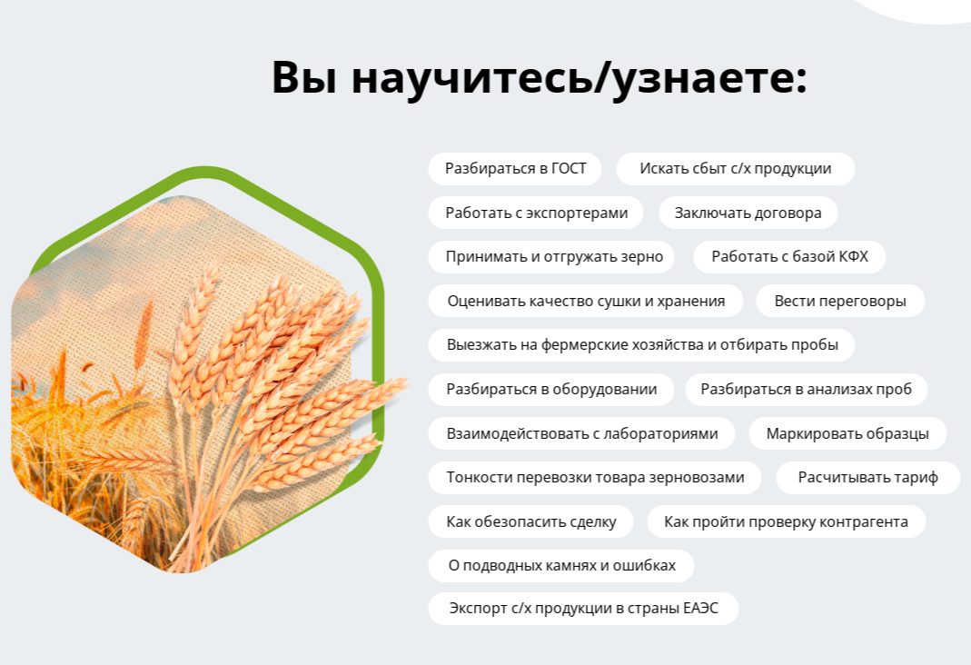nazerne отзывы