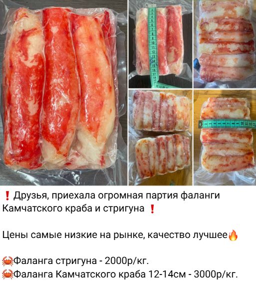 первый рыбный отзывы первый рыбный отзывы