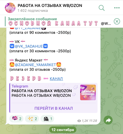 РАБОТА НА ОТЗЫВАХ WB OZON