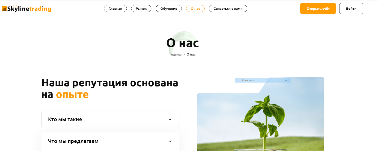 скайлайн трейдинг