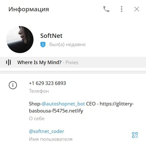 softnet coder