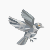 single-best-services-img