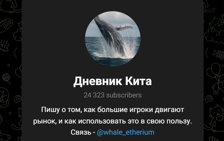 whale diary отзывы