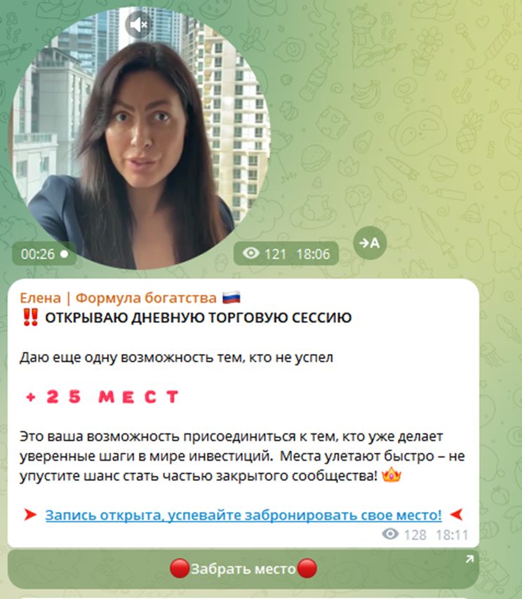 елена смирнова инвестор