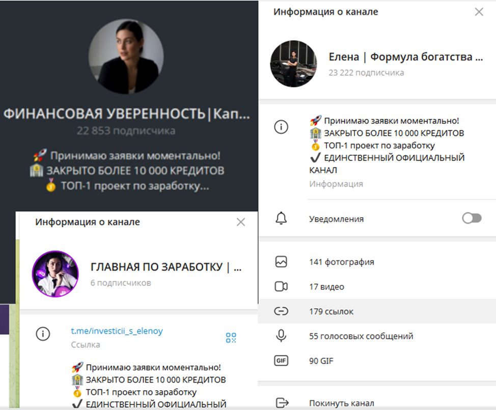 елена смирнова инвестор