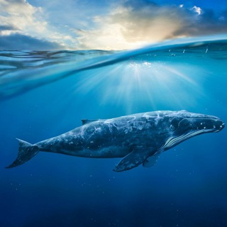 single-best-services-img