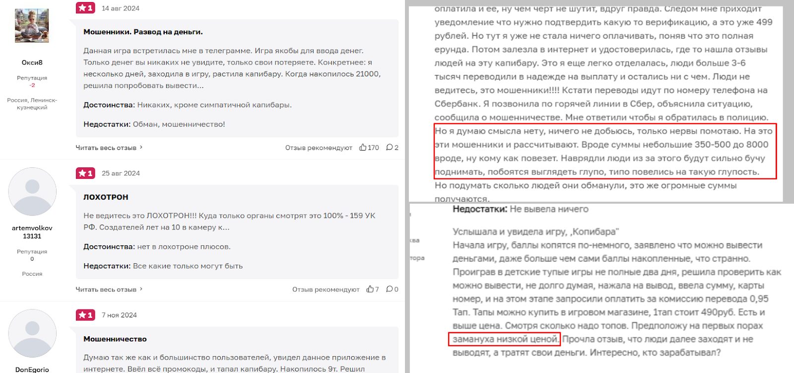 capybara telegram + capybara telegram +