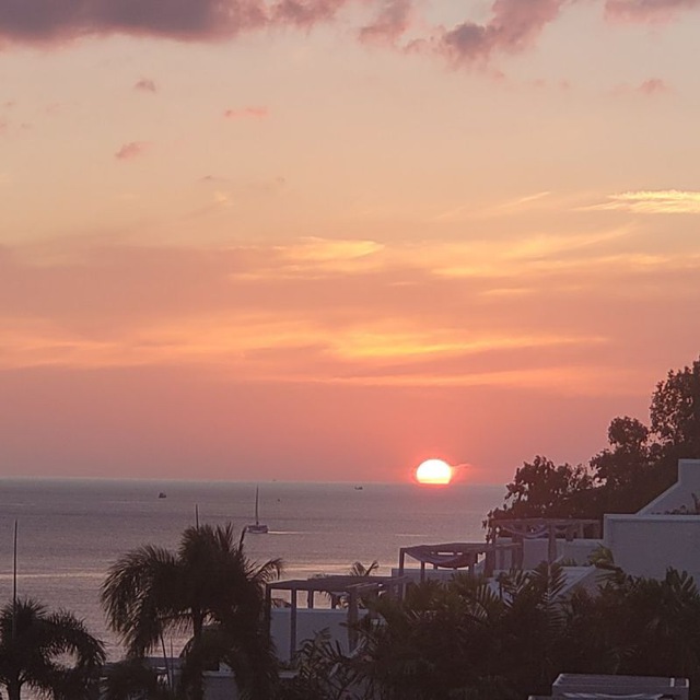 single-best-services-img