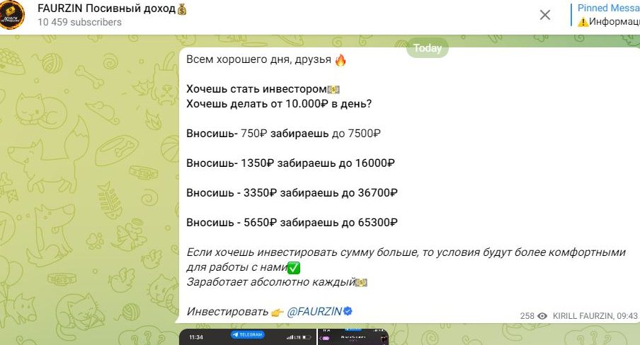 FAURZIN Инвестиции FAURZIN Инвестиции