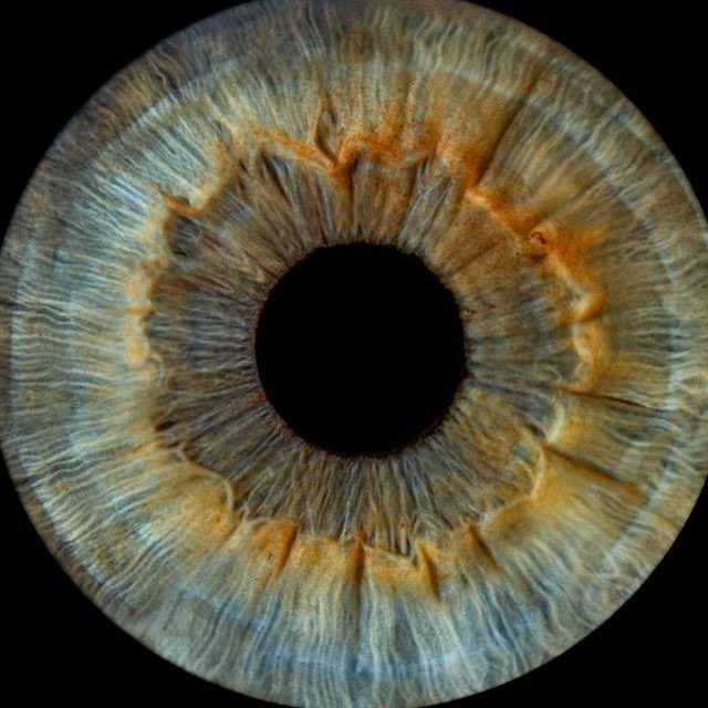 single-best-services-img