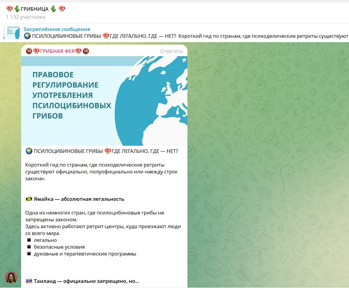 грибная фея телеграмм отзывы грибная фея телеграмм отзывы