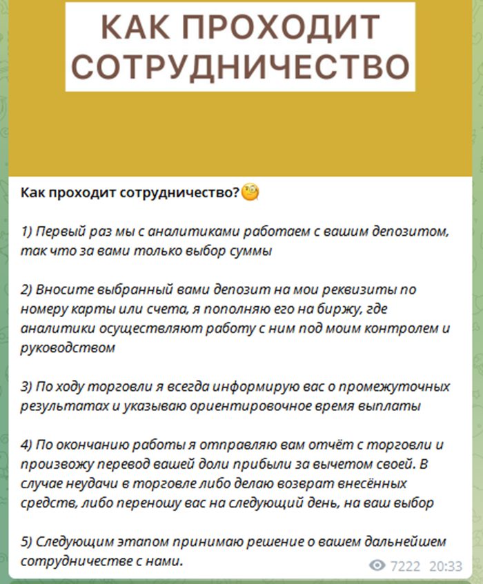 Инвестор Виктория