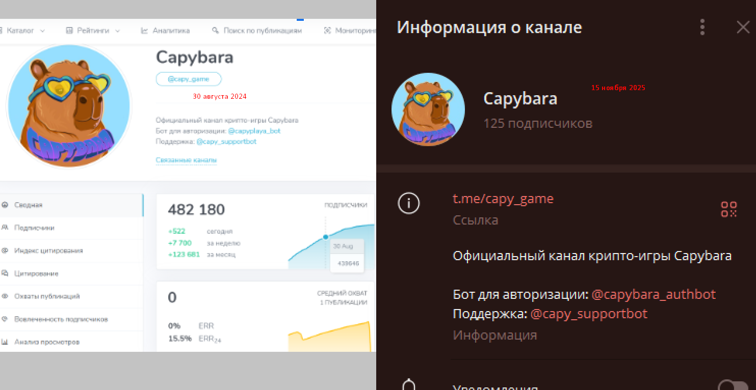 капибара телеграм канал капибара телеграм канал
