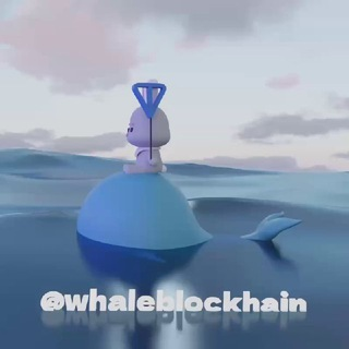 single-best-services-img