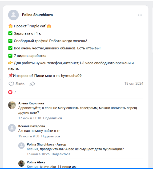 проект purple cat заработок