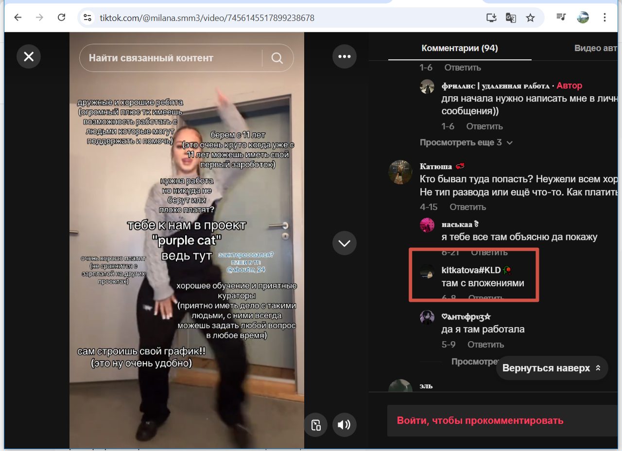 проект purplecat заработок