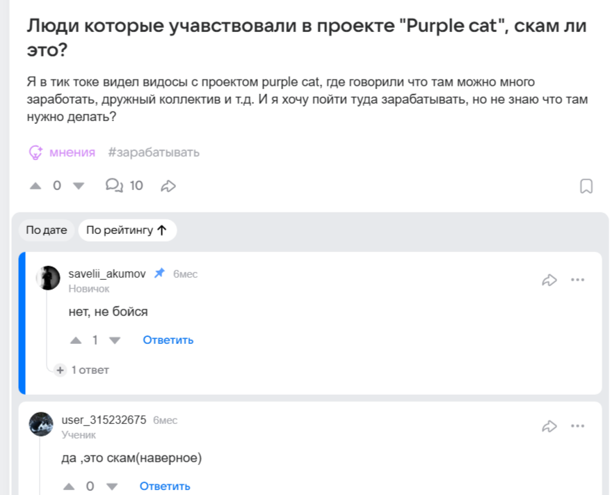 purple cat разоблачение
