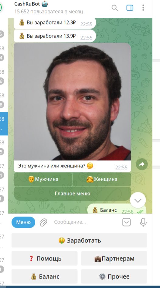 purple cat тг канал