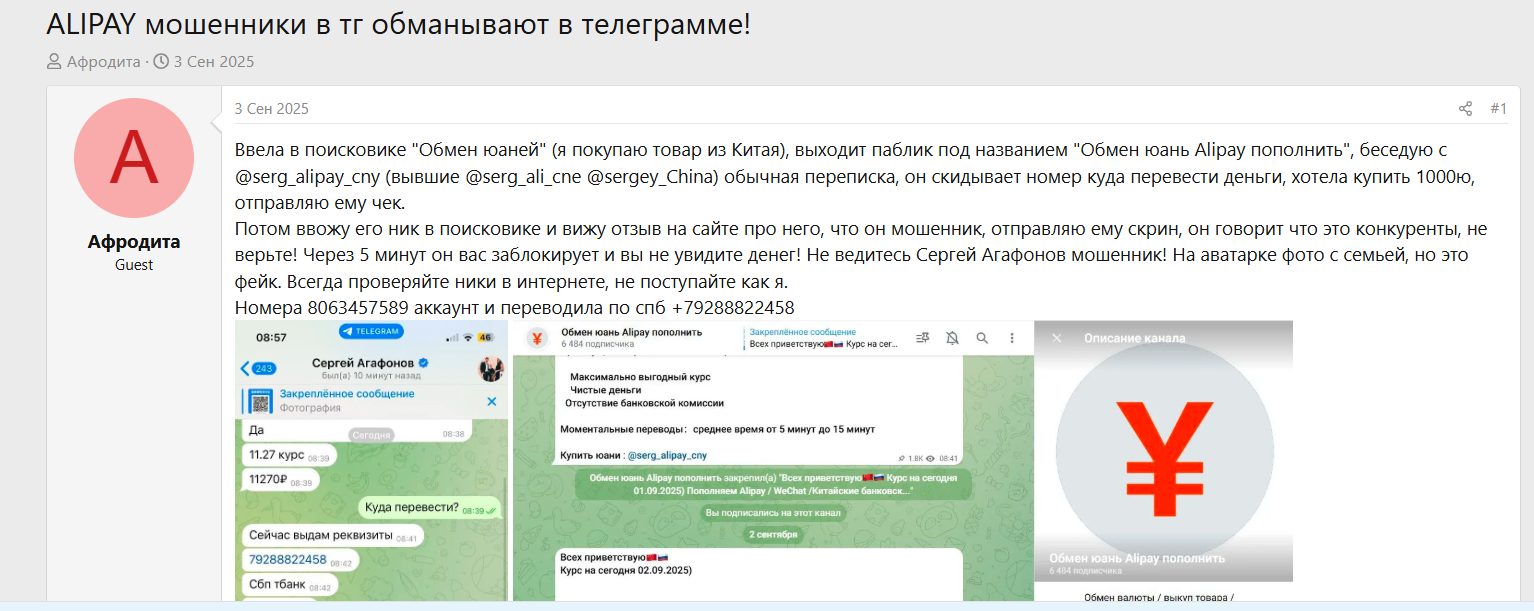 serverpayalibot скам