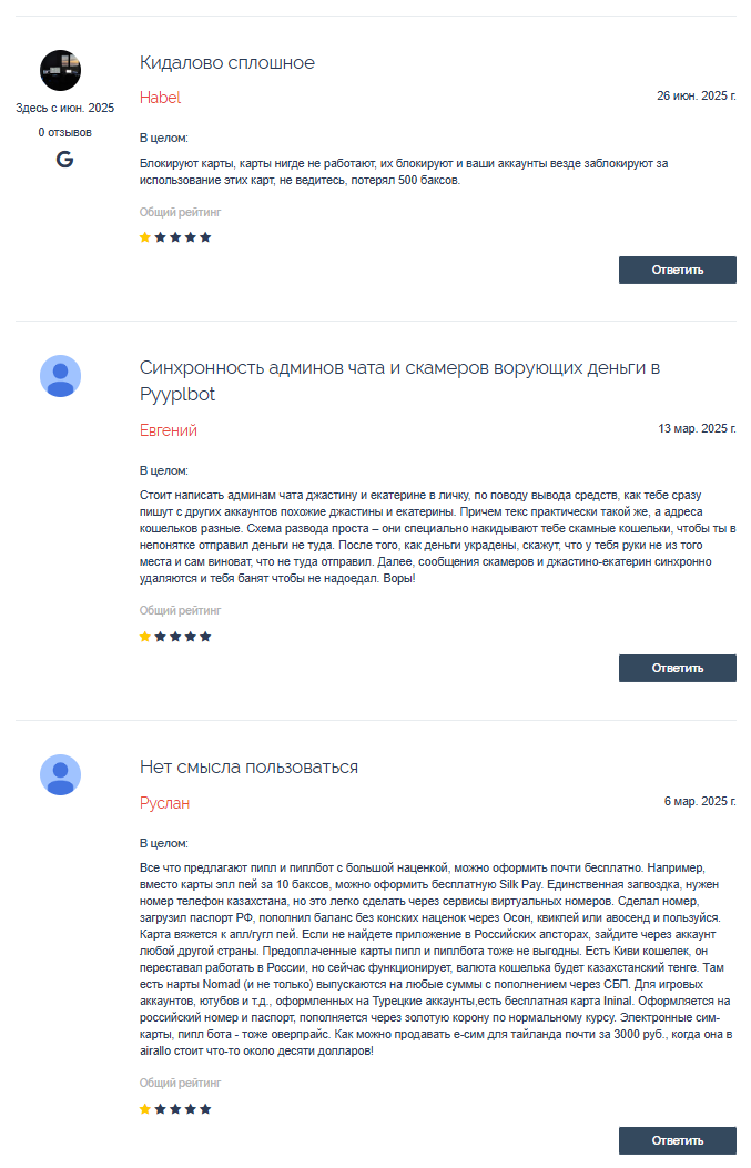 система pyypl что это такое простыми словами