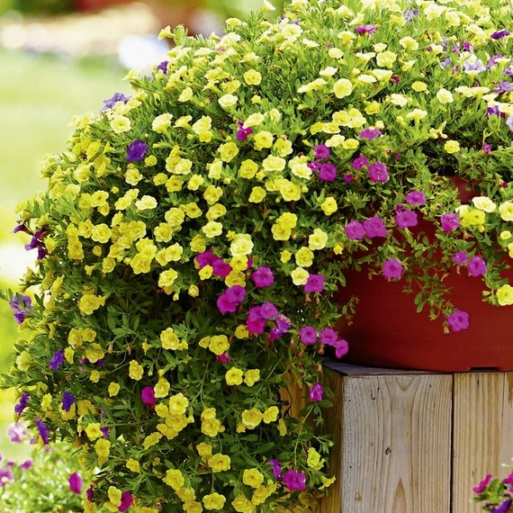 single-best-services-img