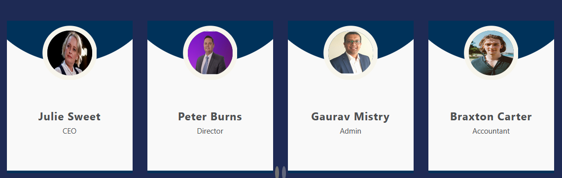 ACN PORTFORLIO ACN PORTFORLIO