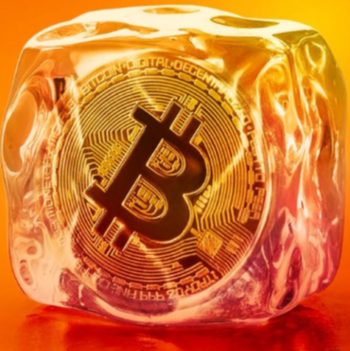 single-best-services-img