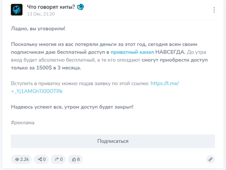 Что говорят киты Что говорят киты